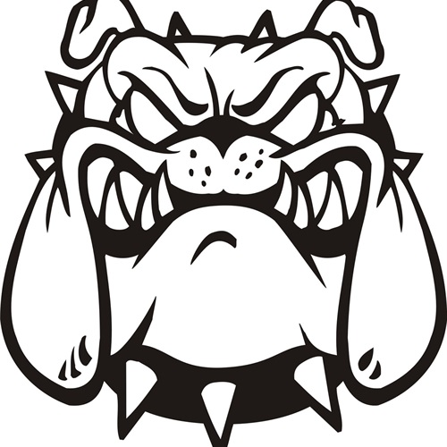 500x500 Girls' Varsity Wrestling