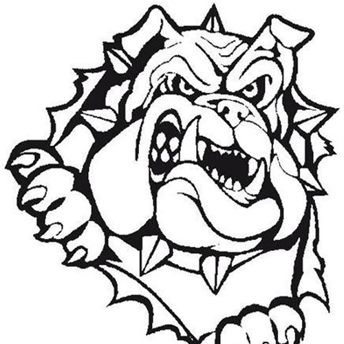 500x500 Boys Varsity Wrestling