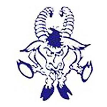 360x360 High School Wrestling Logo