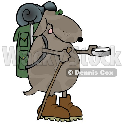 400x400 Using A Compass While Hiking Clipart Illustration Djart