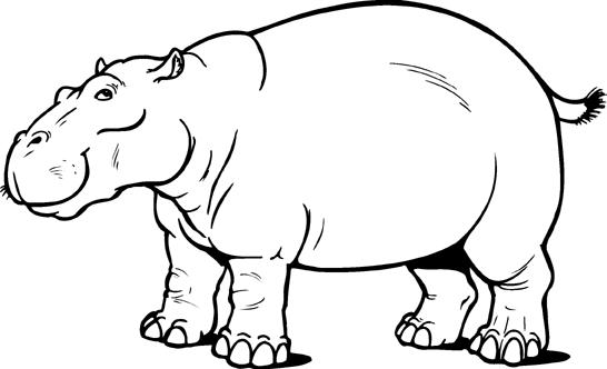 546x332 Hippo Clip Art Black And White Free Clipart Images 2