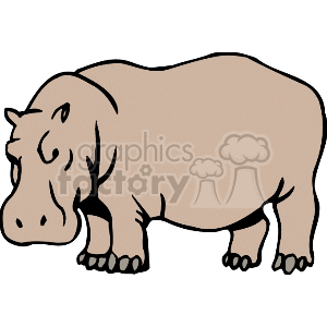 300x300 Royalty Free Profile Of Hippopotamus 129705 Vector Clip Art Image