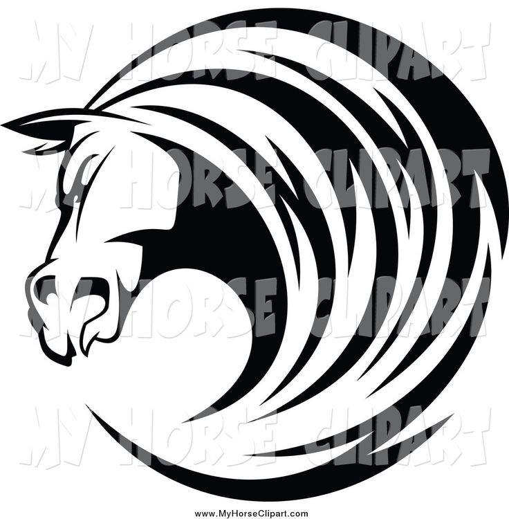 736x750 12 Best Horses Images Black White, Clip Art