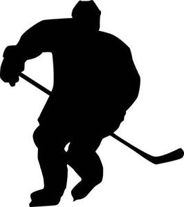 266x300 Hockey Decals Ebay