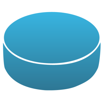 350x350 Hockey Puck Decals