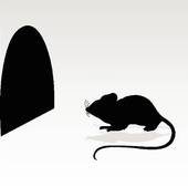 170x169 Rat Hole Clipart
