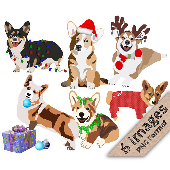 570x570 Christmas Corgis Holiday Corgi Christmas Clipart Holiday