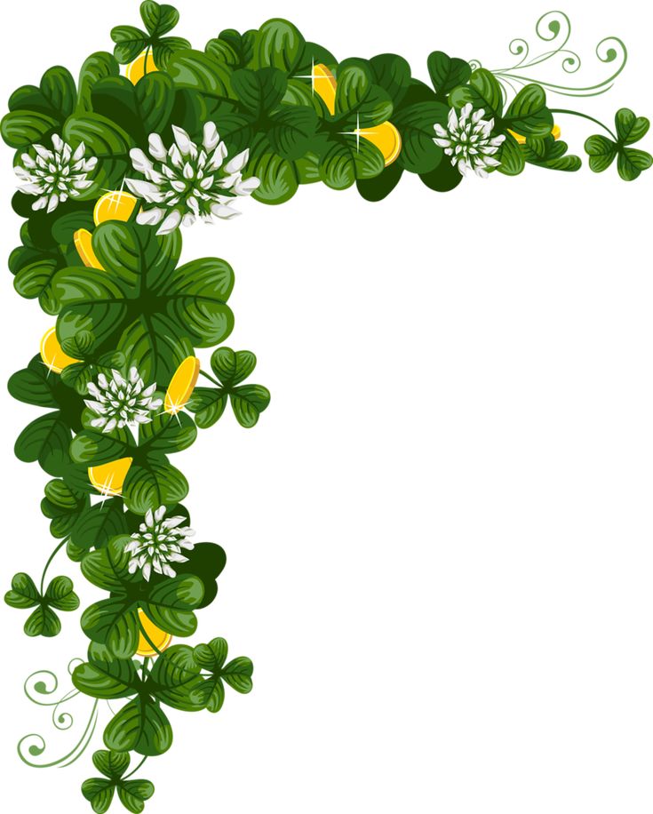 735x916 382 Best Boarders