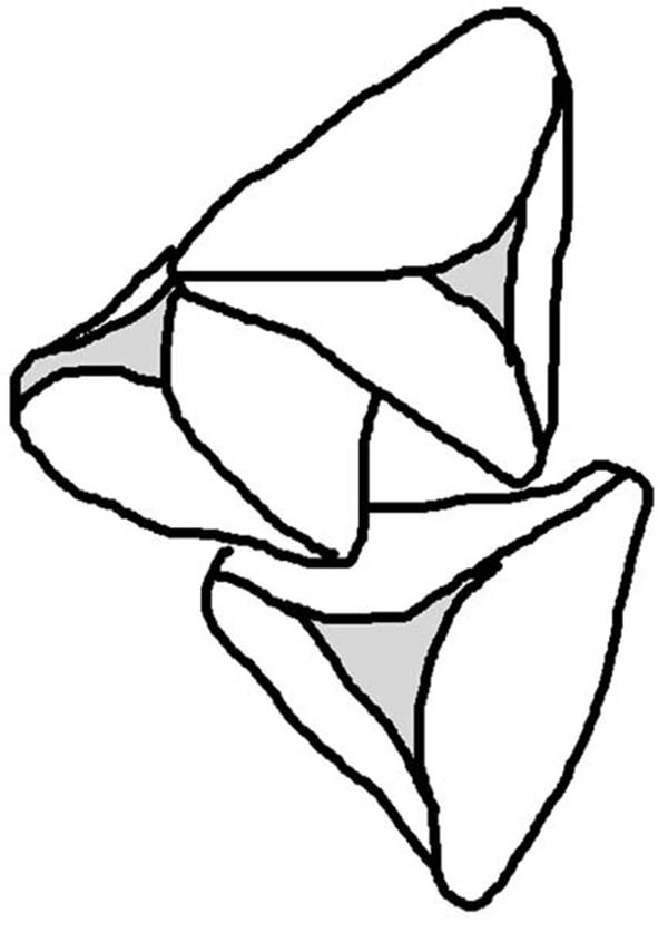 600x836 Hamantash In Purim Holiday Coloring Page