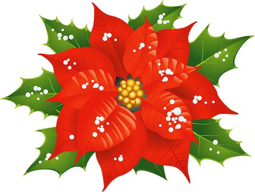 500x376 64 Best Clipart Christmas Flowers, Mistletoe, Wreaths Images