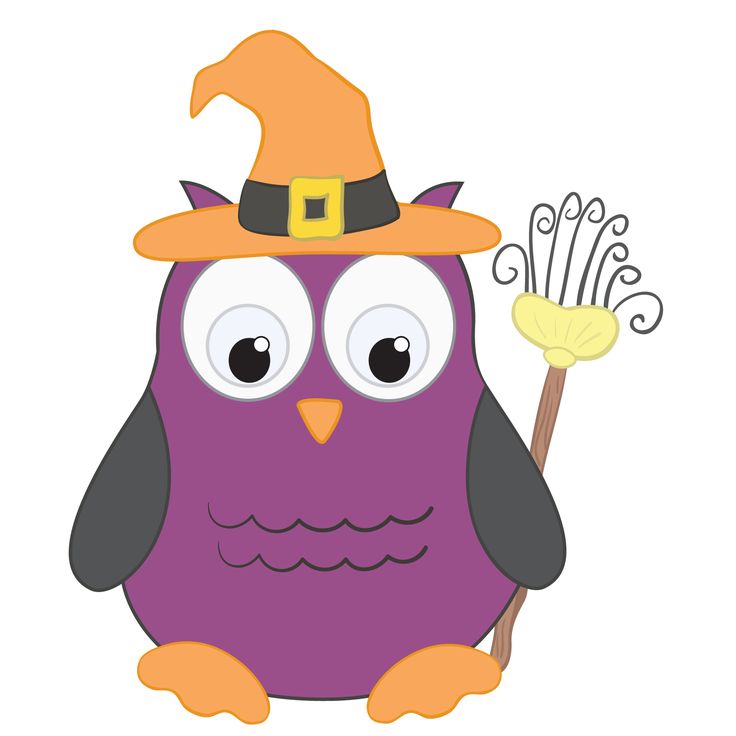 736x736 1424 Best Hiboux Images Owl, Activities And Autumn