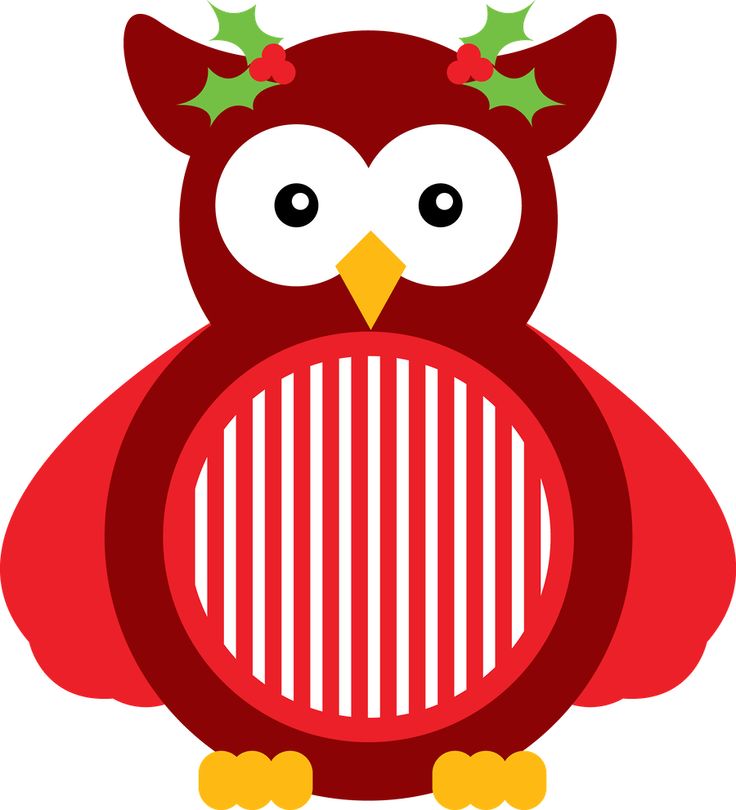 736x810 193 Best Owl Images Owl, Pre Schools And Studying