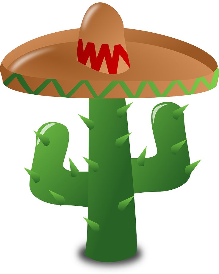 736x923 9 Best Cactus Images Pictures, Deserts And Draw