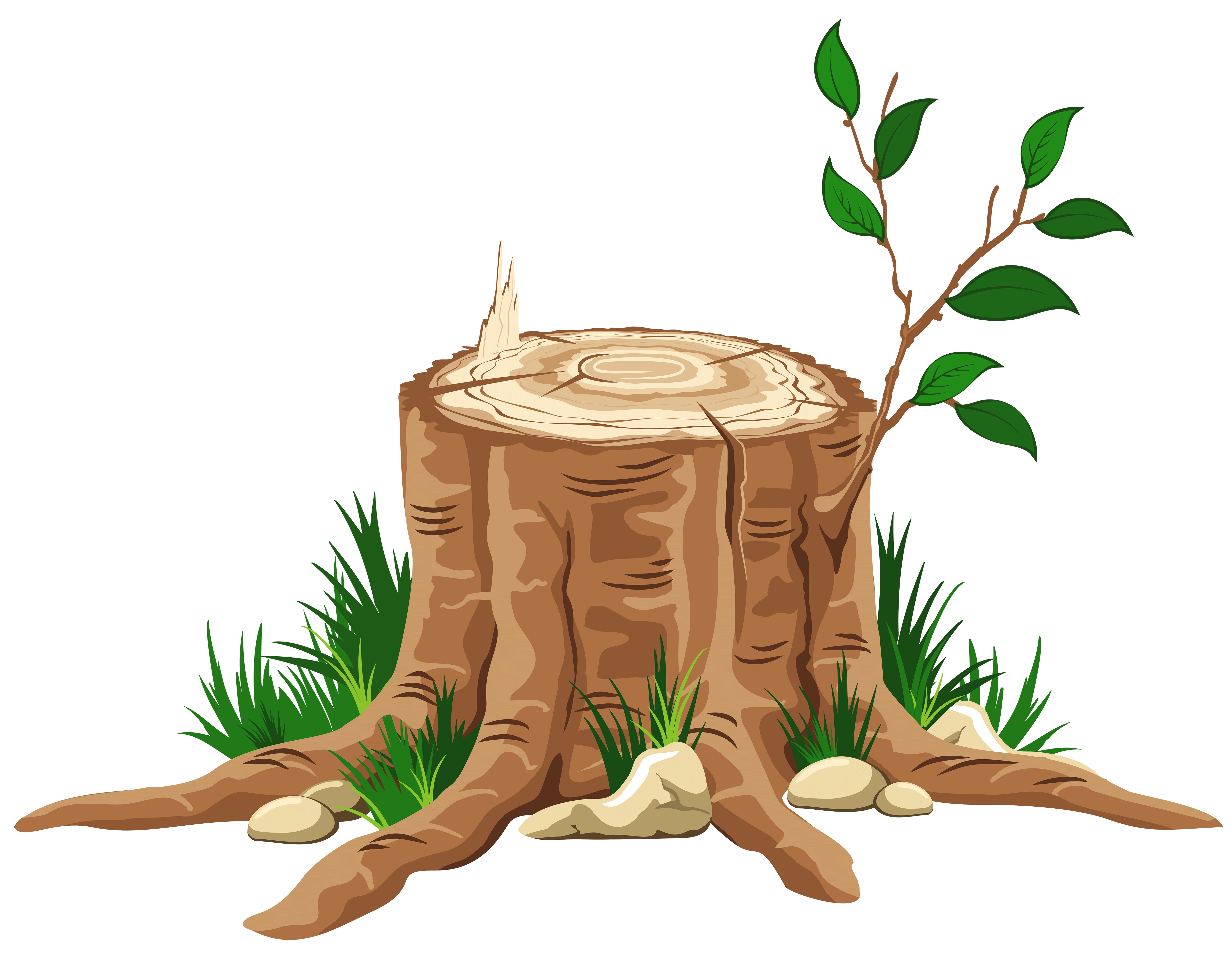 5000x3879 Log Tree Cliparts