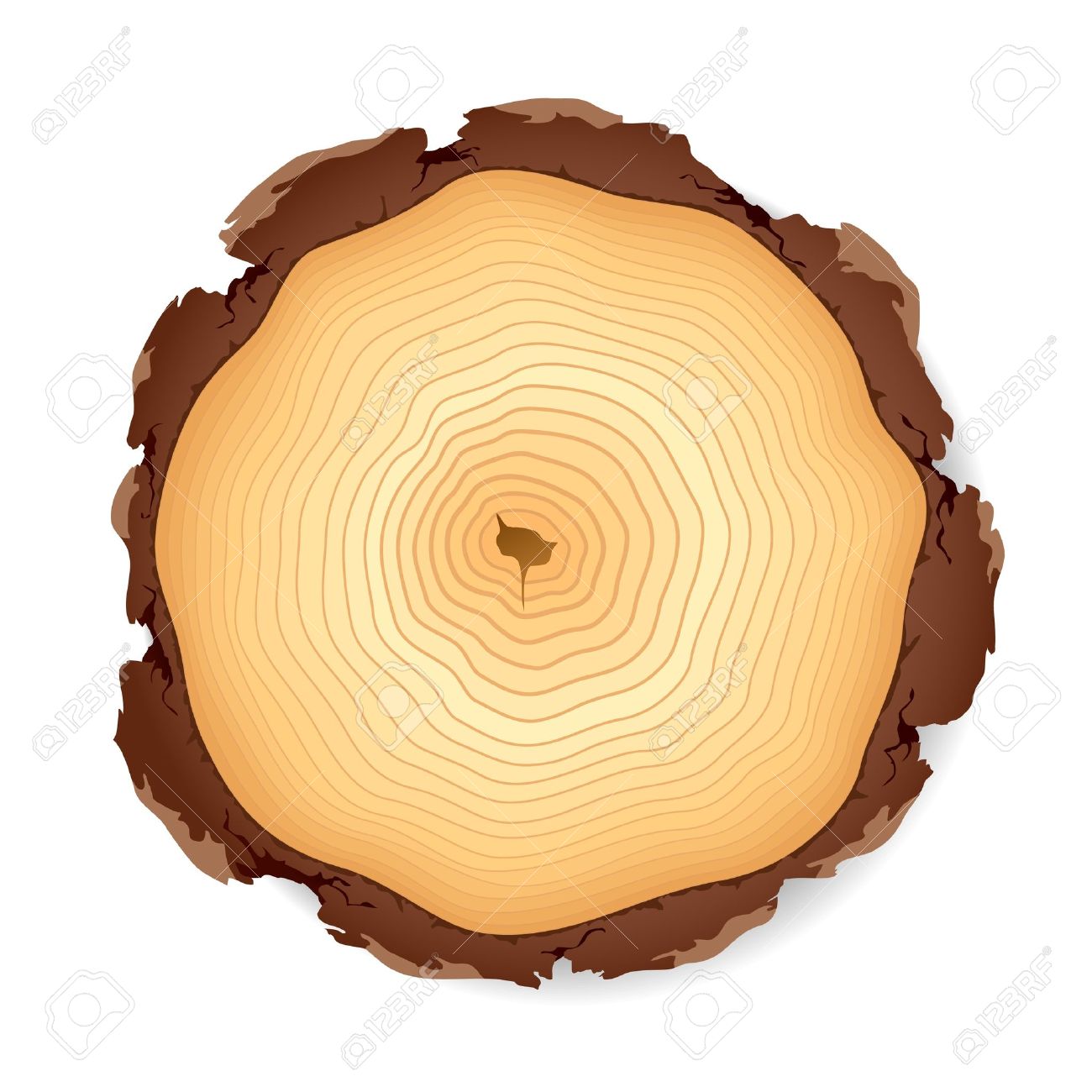 1300x1300 Trunk Clipart Wood Log