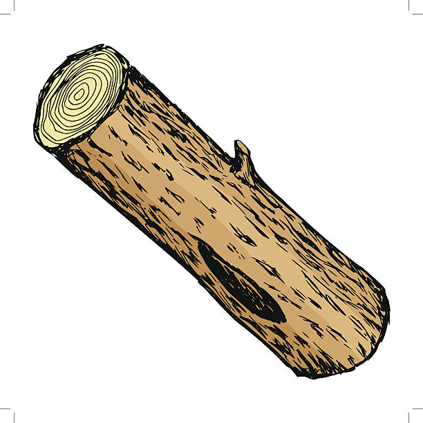 612x612 Illustration Log Clipart, Explore Pictures
