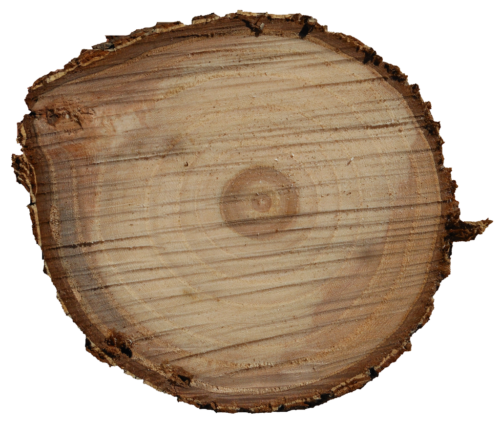 1024x866 Log Clipart