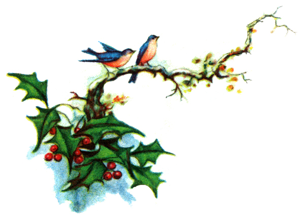 600x438 Holly Clip Art Border Free Clipart Panda