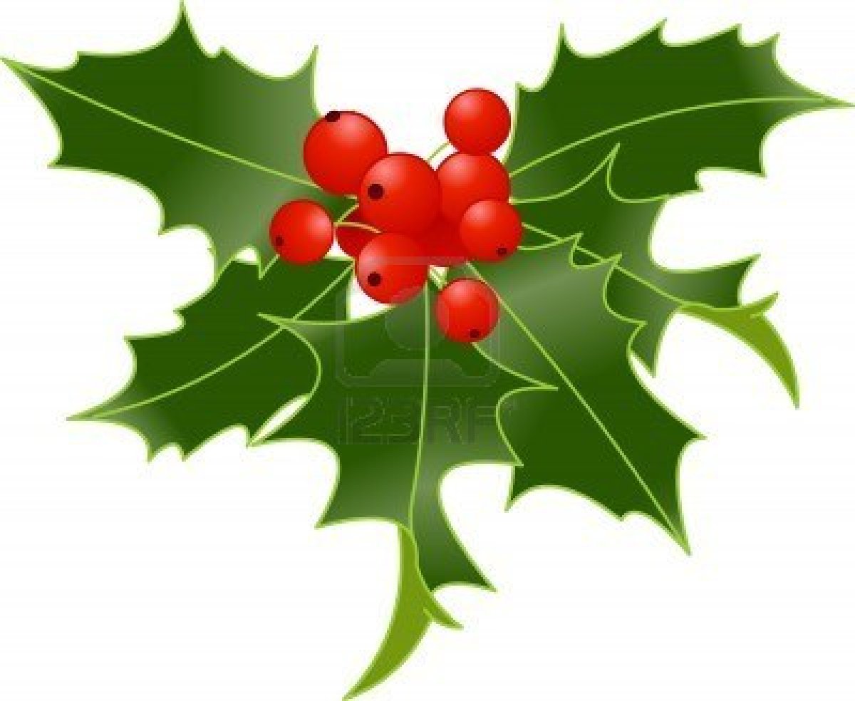 1200x984 Best Holly Clip Art