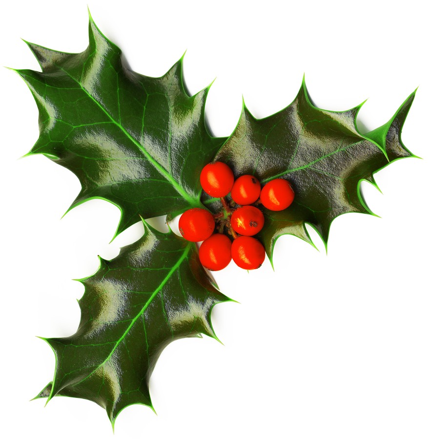 877x900 Health Articles Nature's Garden