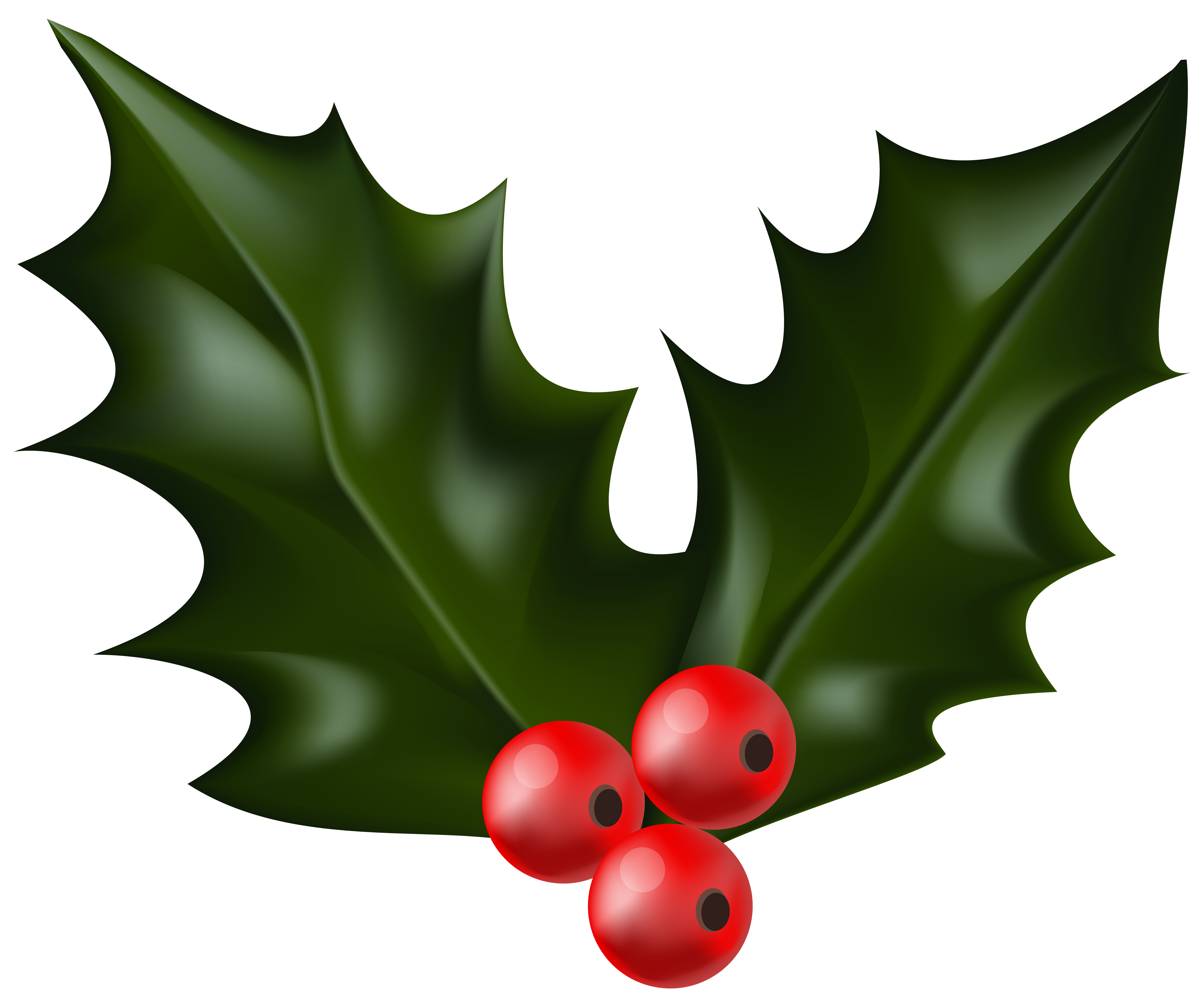 6000x4982 Christmas Holly Mistletoe Png Clip Artu200b Gallery Yopriceville