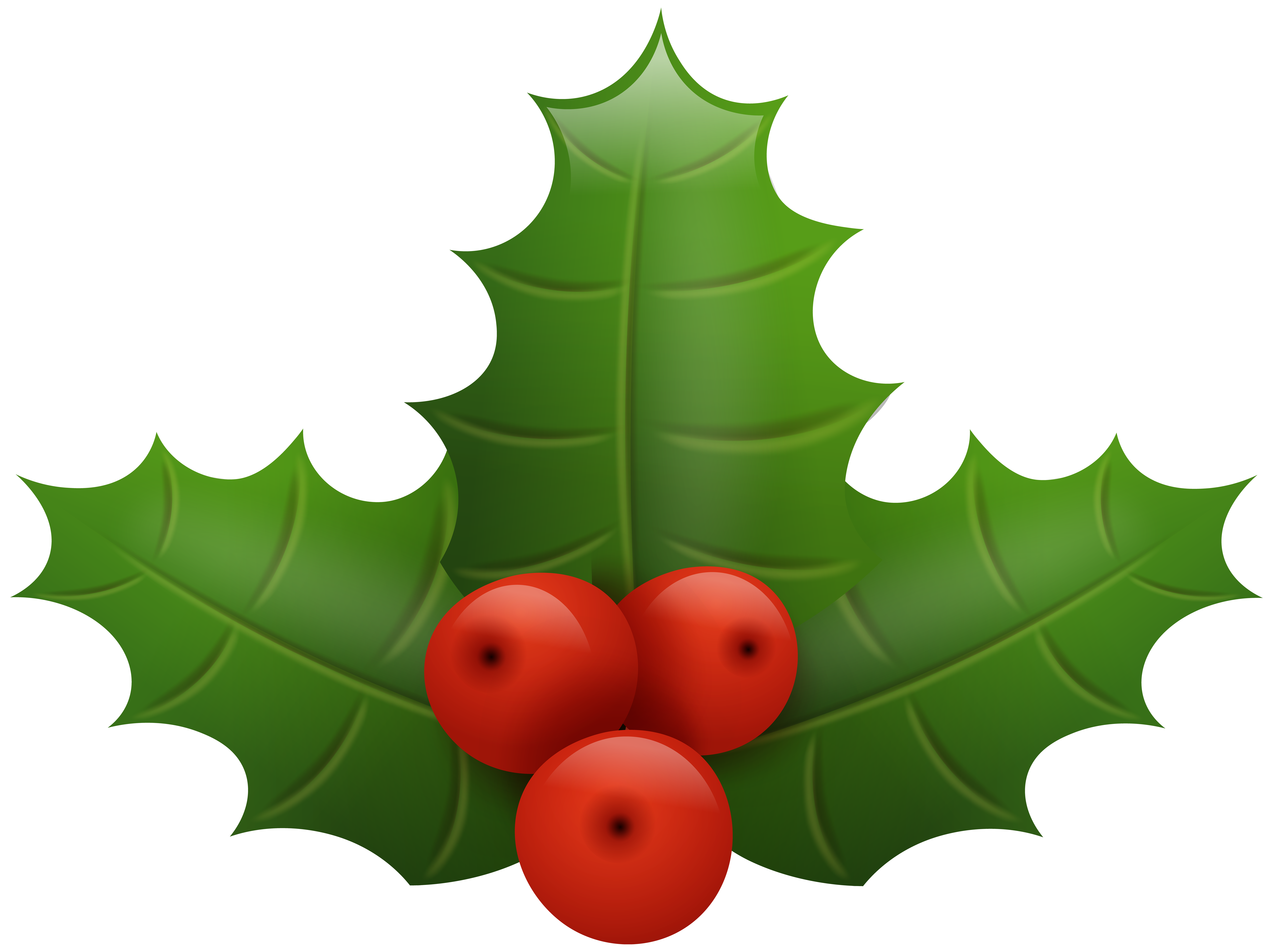 8000x5984 Christmas Holly Png Clip Art Imageu200b Gallery Yopriceville