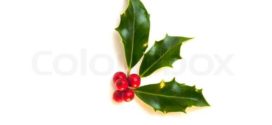 272x125 Free Christmas Clip Art Holly Clipart Panda