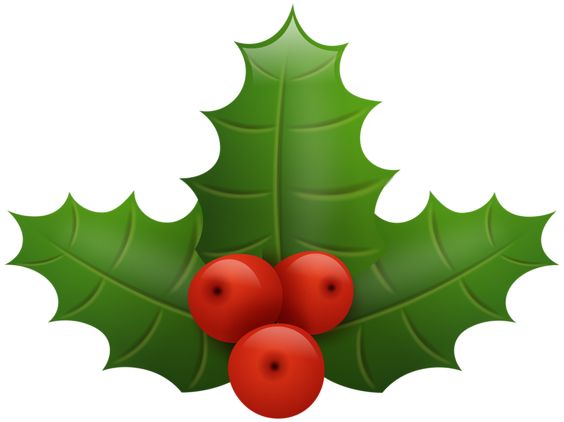 564x422 Christmas Holly Png Clip Art Image Christmas Tree Decoration Png