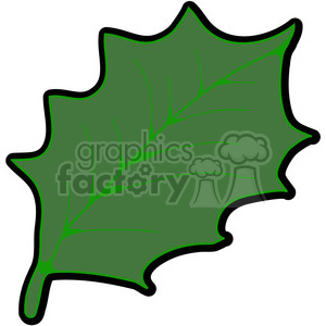 300x300 Royalty Free Green American Holly Leaf 387363 Vector Clip Art
