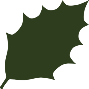 297x299 Green Leaf Clipart Many Interesting Cliparts