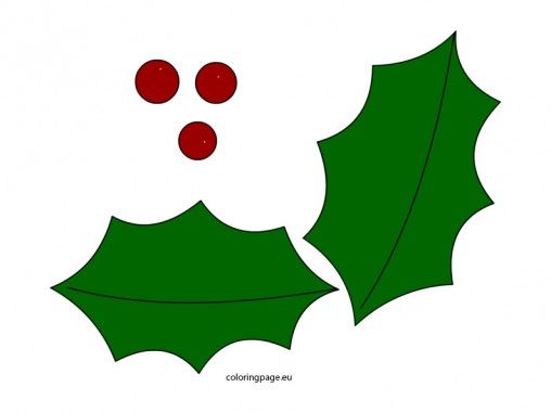 508x381 The Best Holly Leaf Ideas Christmas Holly