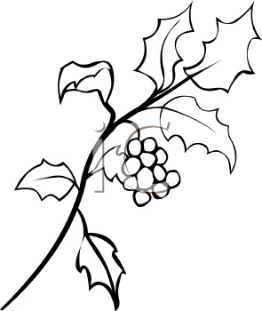 295x350 White Holly Clipart, Explore Pictures