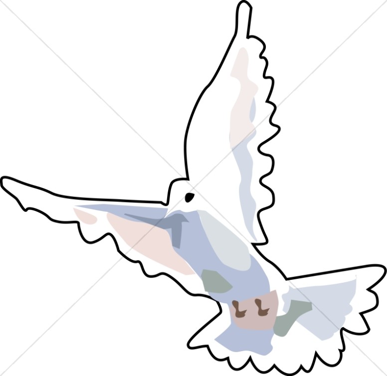 776x754 Open Wings Dove Dove Clipart
