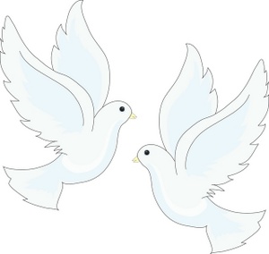 300x284 Drawing Dove Cliparts 204404