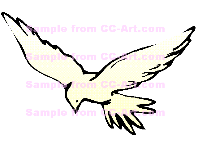 640x480 Dove Dove, Symbol Of The Spirit