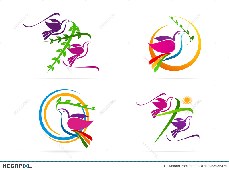 800x596 Dove Logo, Pigeon, Sun With Cross Leaf Symbol, Holy Spirit Icon