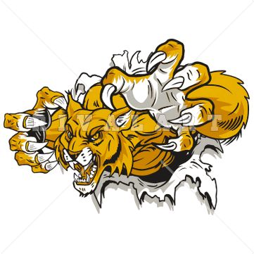 361x361 25 Best Wildcat Clipart Images Clip Art, Basketball
