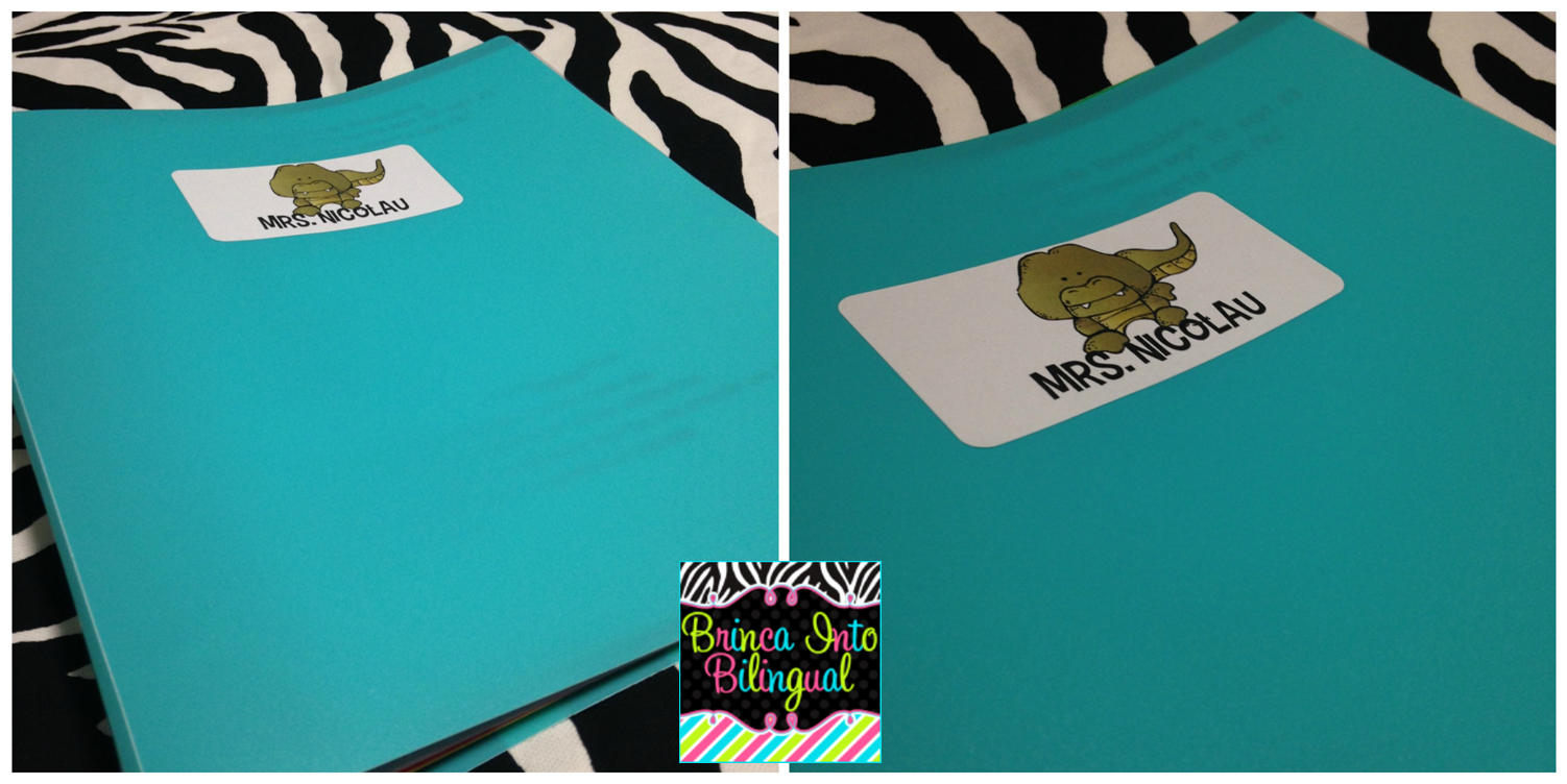 1502x752 Brinca Into Bilingual (Mrs. Nicolau) Gator Binders A More