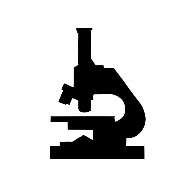 615x615 Free Microscope Clip Art Pictures