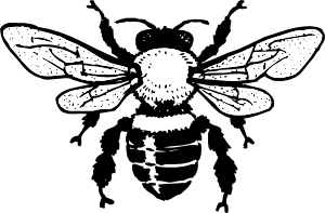 300x197 Honey Bee Clip Art