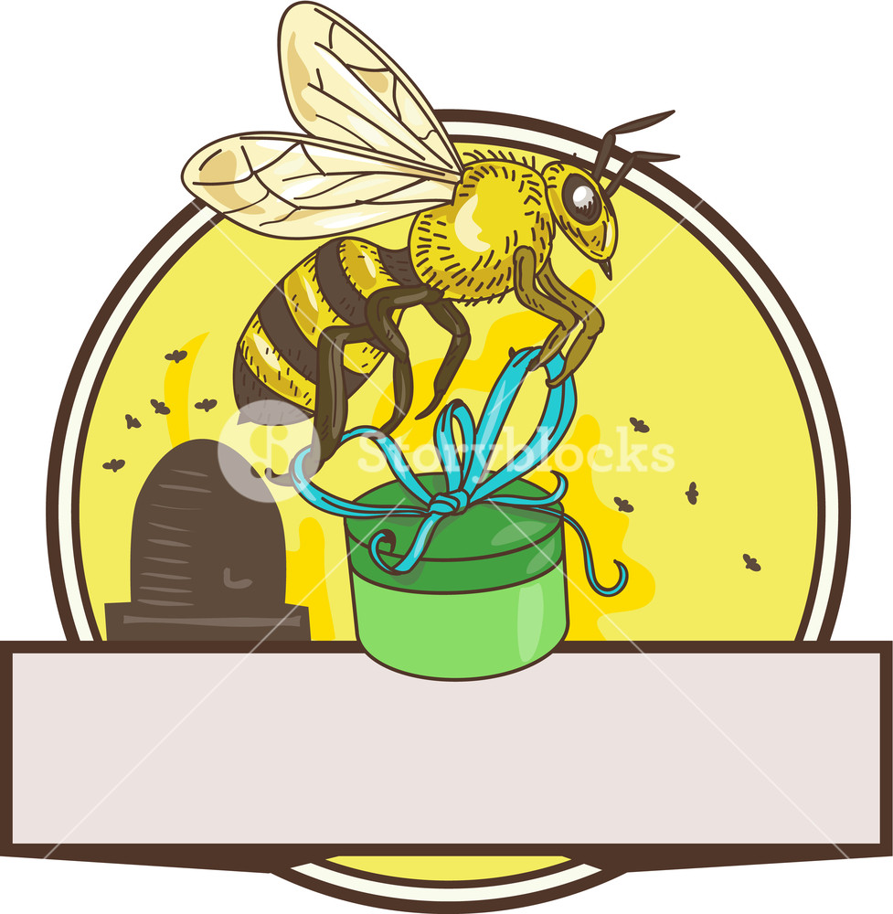 977x1000 Drawing Sketch Style Illustration Of Worker Honey Bee Carrying