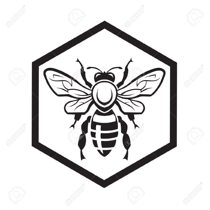 736x736 Drawn Bee Bee Honeycomb