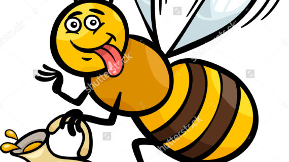 570x320 Honey Bee Drawing Cartoon Cartoon Illustration Funny Bee Pot Honey