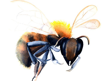 340x270 Honey Bee Painting Etsy
