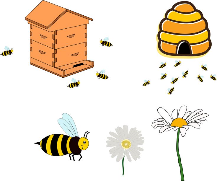 735x613 Best Honey Bees For Sale Ideas Honey For Sale