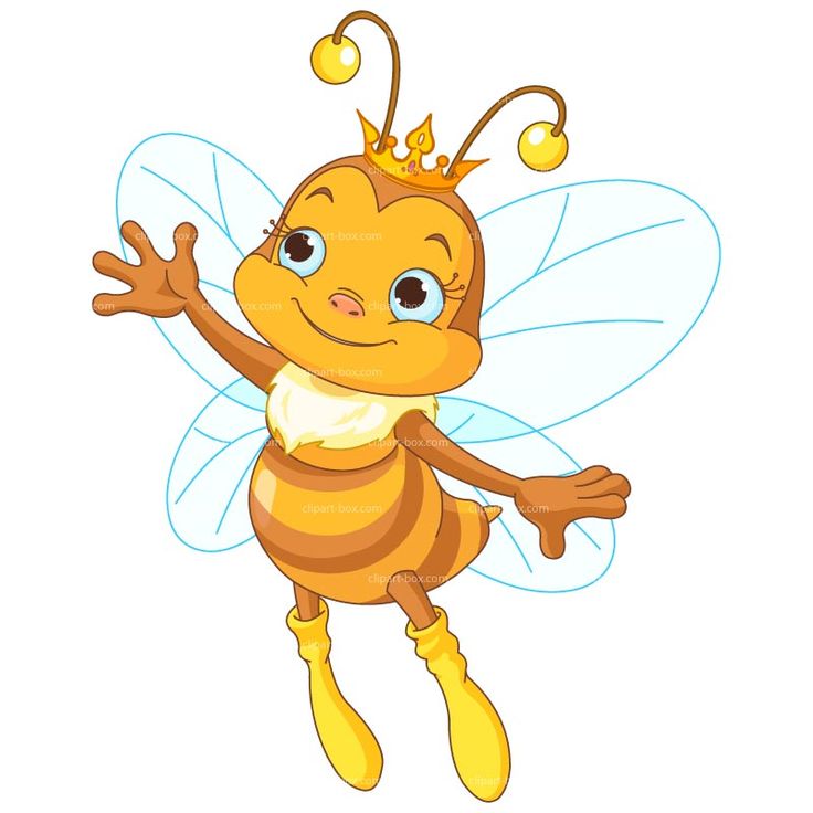 736x736 Bee Hive Clipart Queen Bee