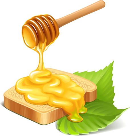 456x476 Clipart Honey