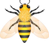 170x151 Vintage Honey Bee Clip Art Clipart