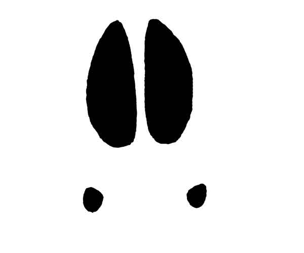 600x500 Hoofprint Clipart
