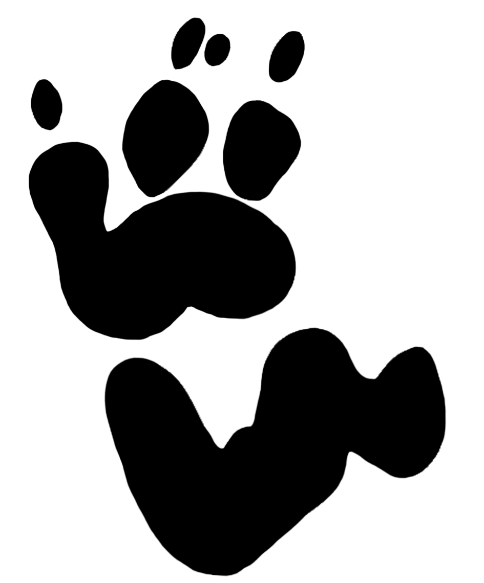 945x1140 Orangutan Clipart Footprint